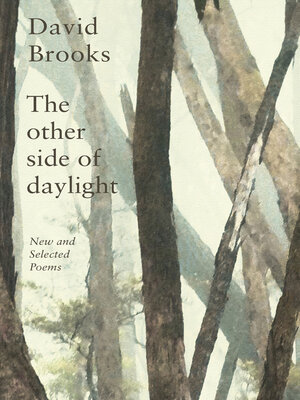 cover image of The Other Side of Daylight